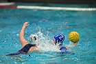 WWPolo vs CC  Wheaton College Women’s Water Polo compete in their sports inaugural match vs Connecticut College. - Photo By: KEITH NORDSTROM : Wheaton, water polo, inaugural